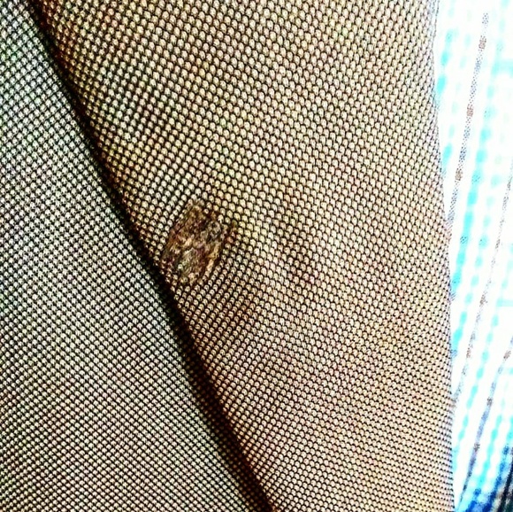 Men's Paul Staurt Blazer - Picture 5 of 5